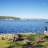 saimaa life and light