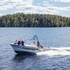 saimaa life and light