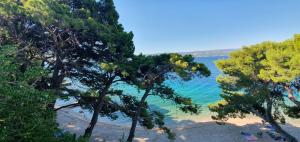 sagitta all inclusive light