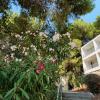 sagitta all inclusive light