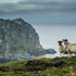 dunfanaghy