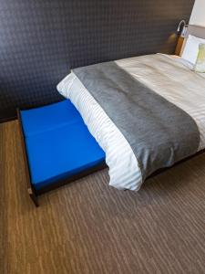 super hotel premier jr nara station