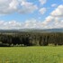 grafenau