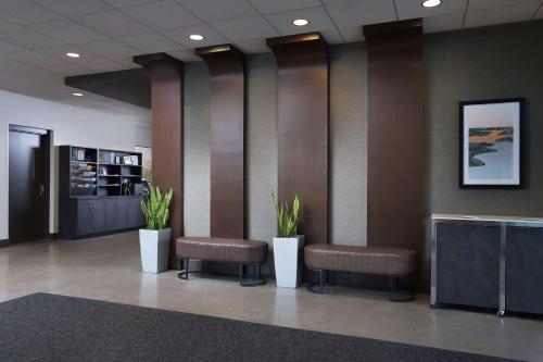 tulyp tapestry collection by hilton