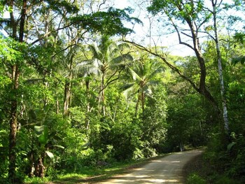 rio tico safari lodge