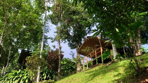 rio tico safari lodge