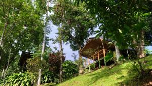 rio tico safari lodge