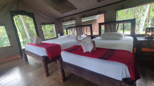 rio tico safari lodge
