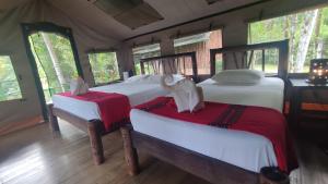 rio tico safari lodge