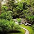 rio tico safari lodge