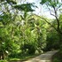 rio tico safari lodge