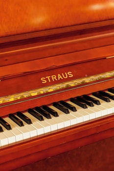 cesar palace casino hotel