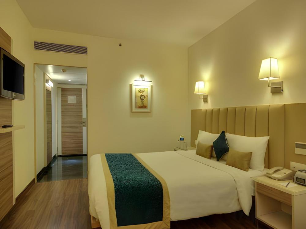 tulip inn west delhi
