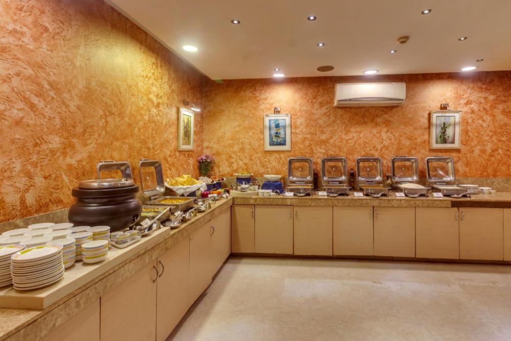 tulip inn west delhi