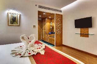 tulip inn west delhi