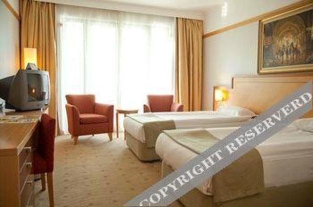 eliz thermal convention center