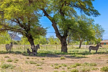prescott