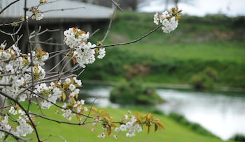 blenheim bridges holiday park