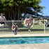 beachway motel and restaurant