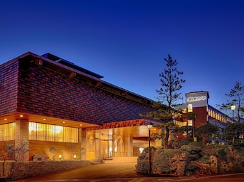 ooedo onsen monogatari unzen toyokan