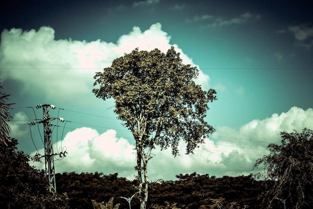 siam hotel xishuangbanna