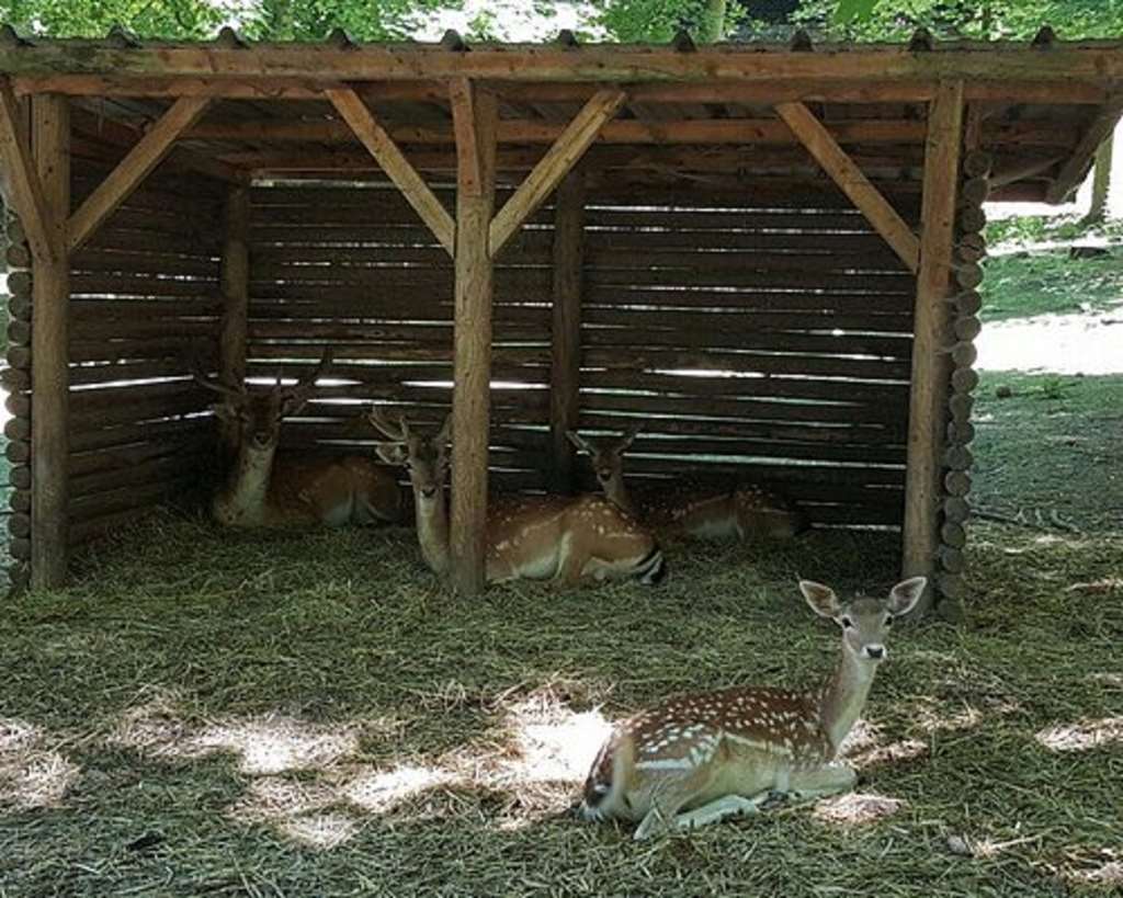 kyriad crepy en valois