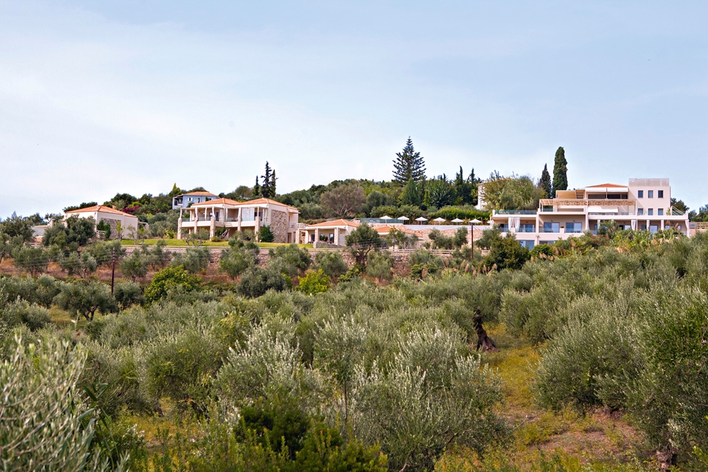 pylos nestoras