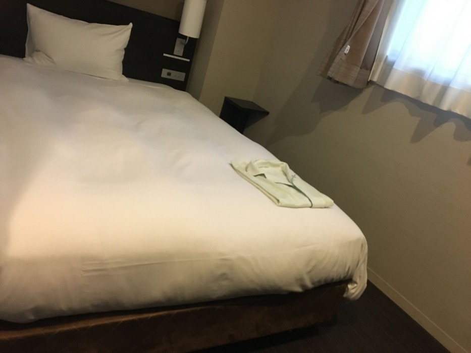 Cvs Bay Hotel,Ichikawa>>Chiba,3 star