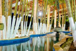 hotel rio de pedras