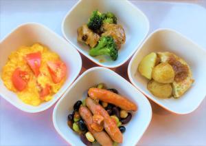 select inn fujisan gotemba