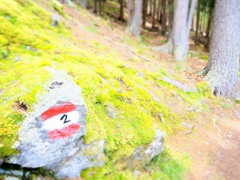 pension feldgartenhof