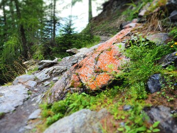 pension feldgartenhof