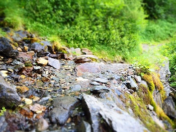 pension feldgartenhof