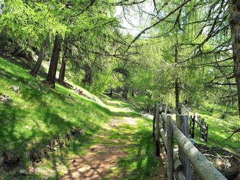 pension feldgartenhof