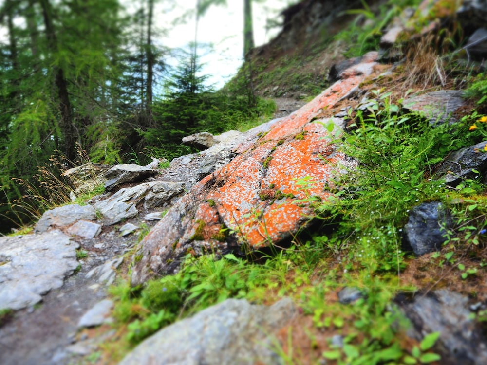 pension feldgartenhof