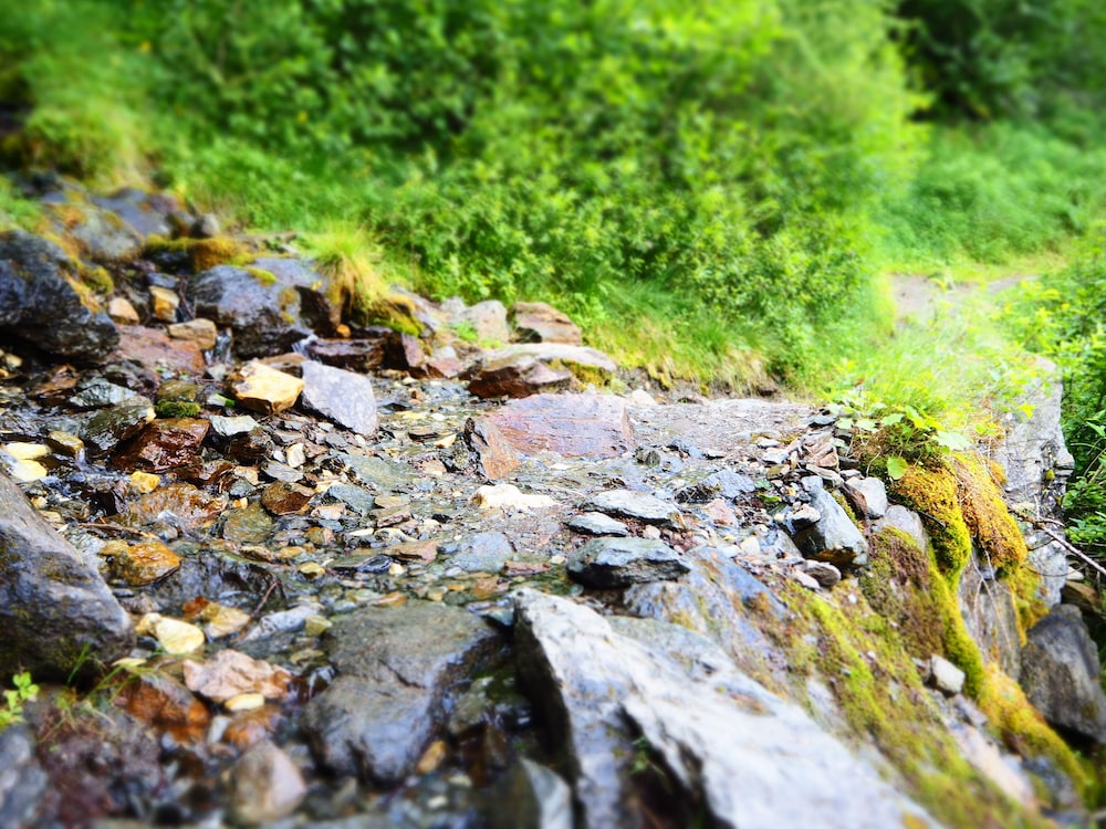 pension feldgartenhof