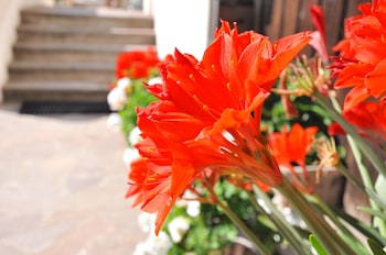 pension feldgartenhof