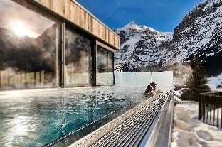 hotel spinne