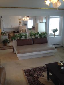 plaza inn great falls