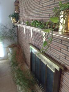 plaza inn great falls