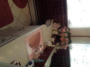 plaza inn great falls