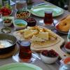 urla zeytin otel