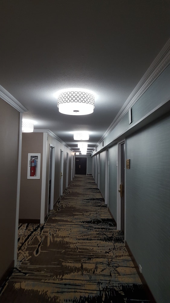 best western at ohare