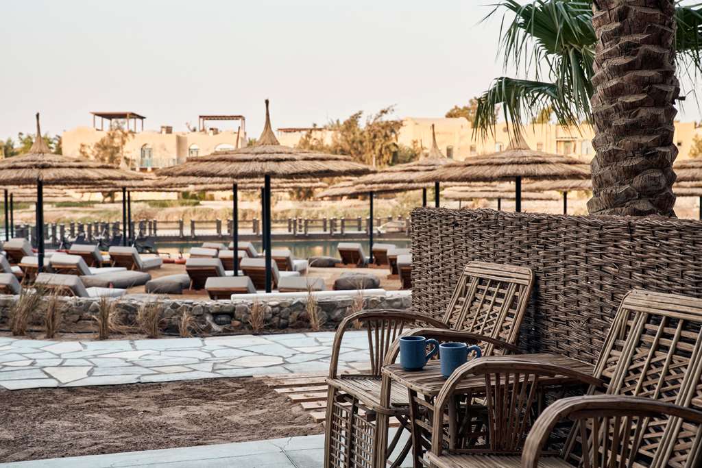 cooks club el gouna adults only
