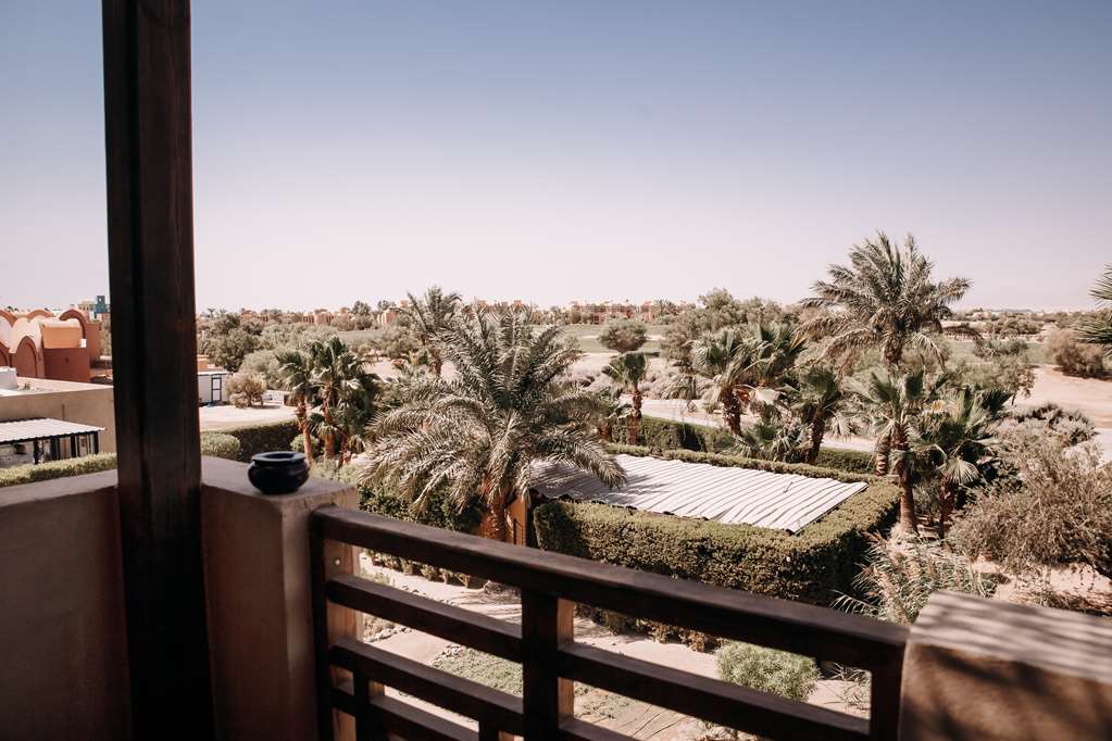 cooks club el gouna adults only