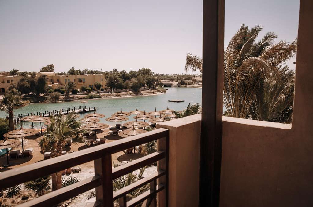 cooks club el gouna adults only