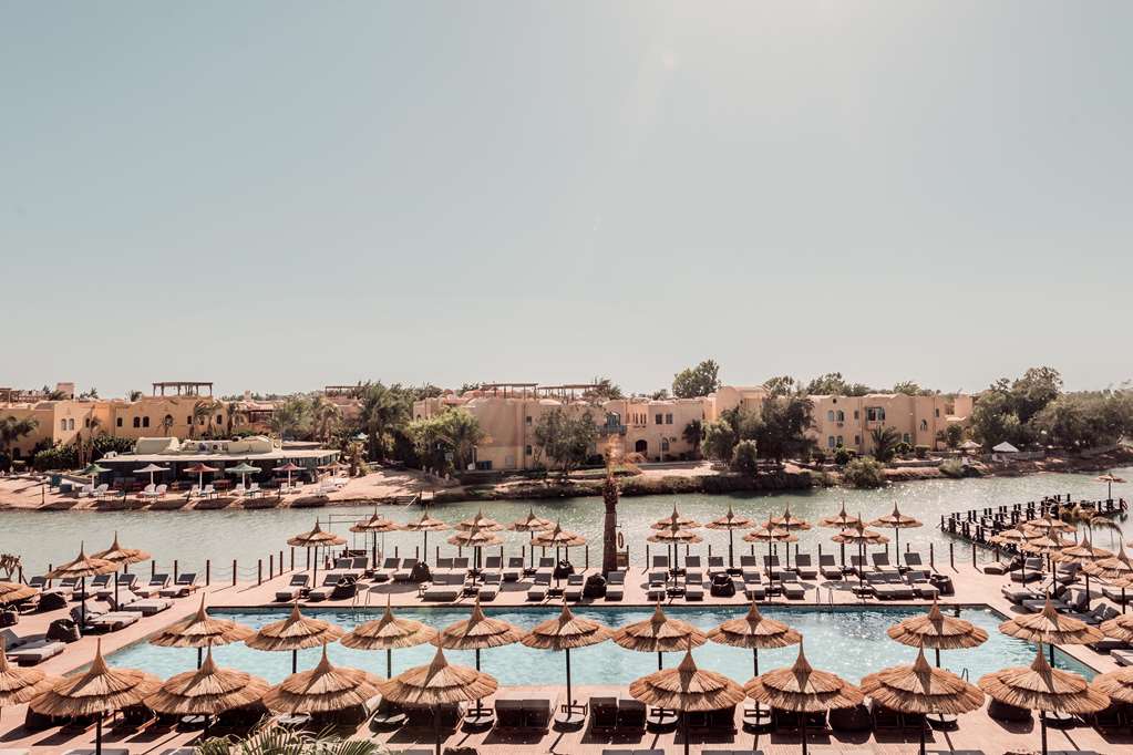 cooks club el gouna adults only