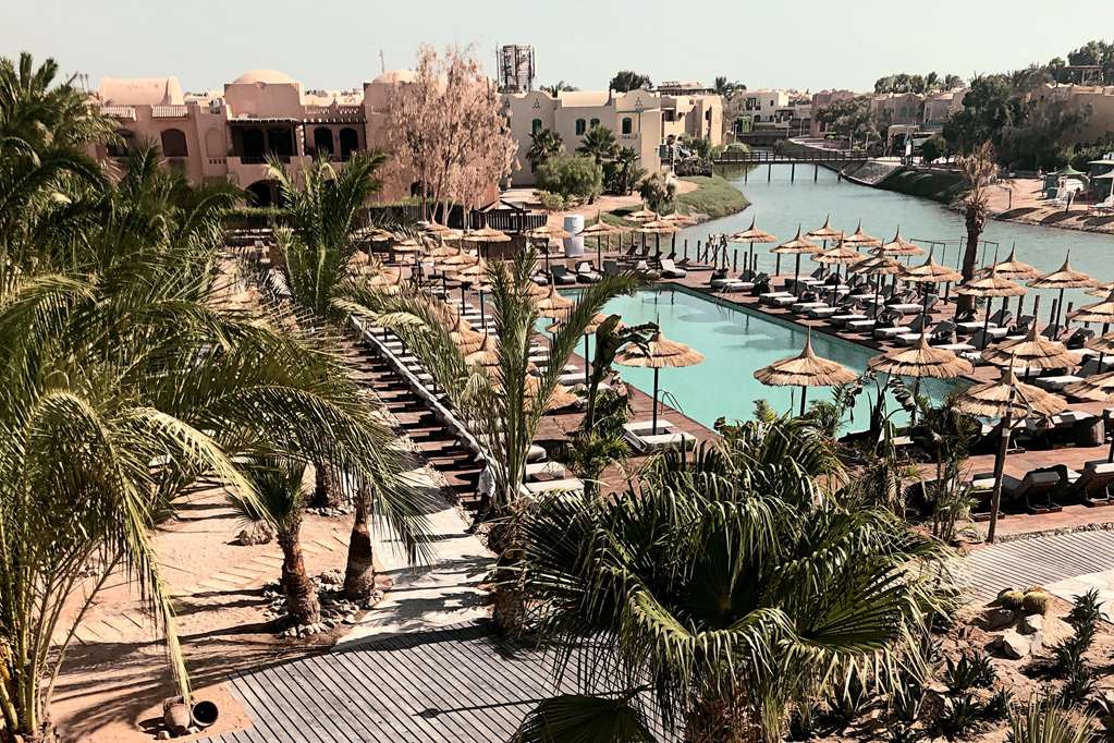 cooks club el gouna adults only
