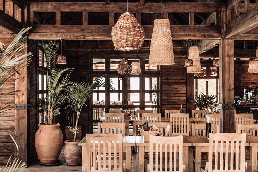 cooks club el gouna adults only