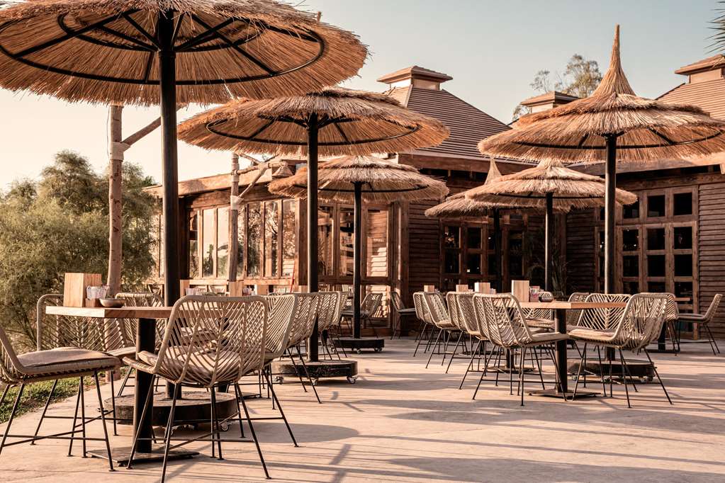 cooks club el gouna adults only